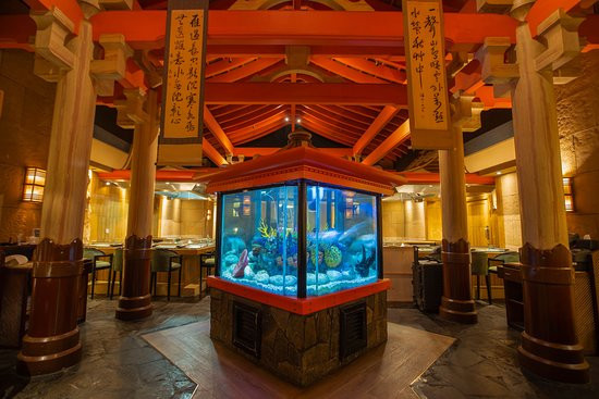 شوجون جبانيز رسطرانت