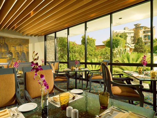 ماى كايند اوف بلايس