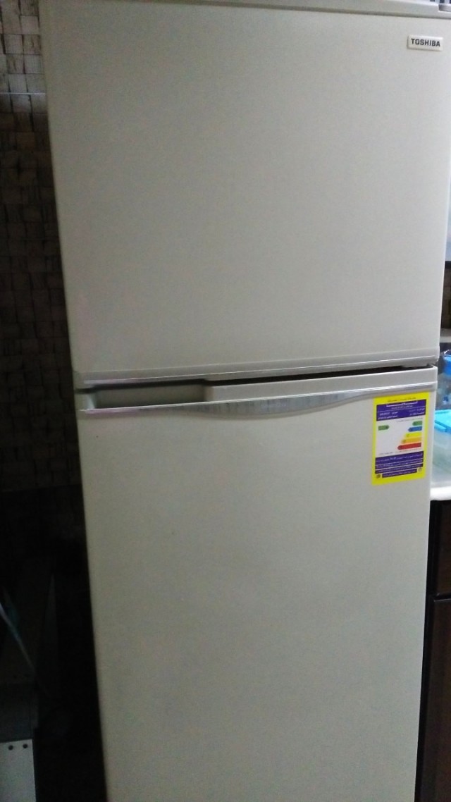ثلاجة توشيبا نوفروست سعة 296 لتر ، 2 باب لون ذهبي GR-EF31-G